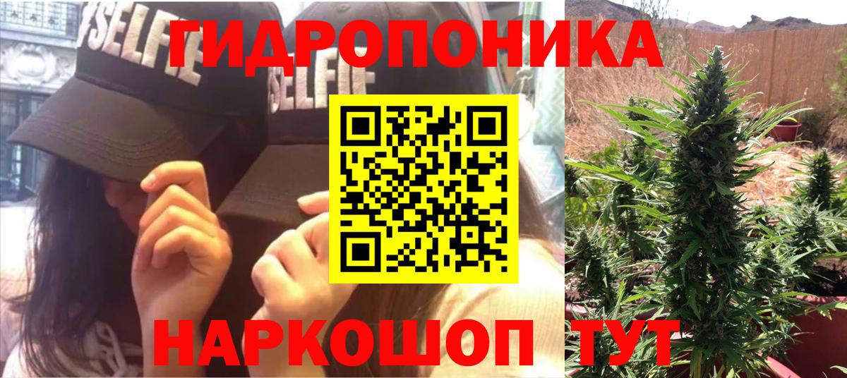 Каннабис индика  Канабис семена  Бошки марихуана LSD WEED  Реж  Канабис Bruce Banner  Вход с VPN 